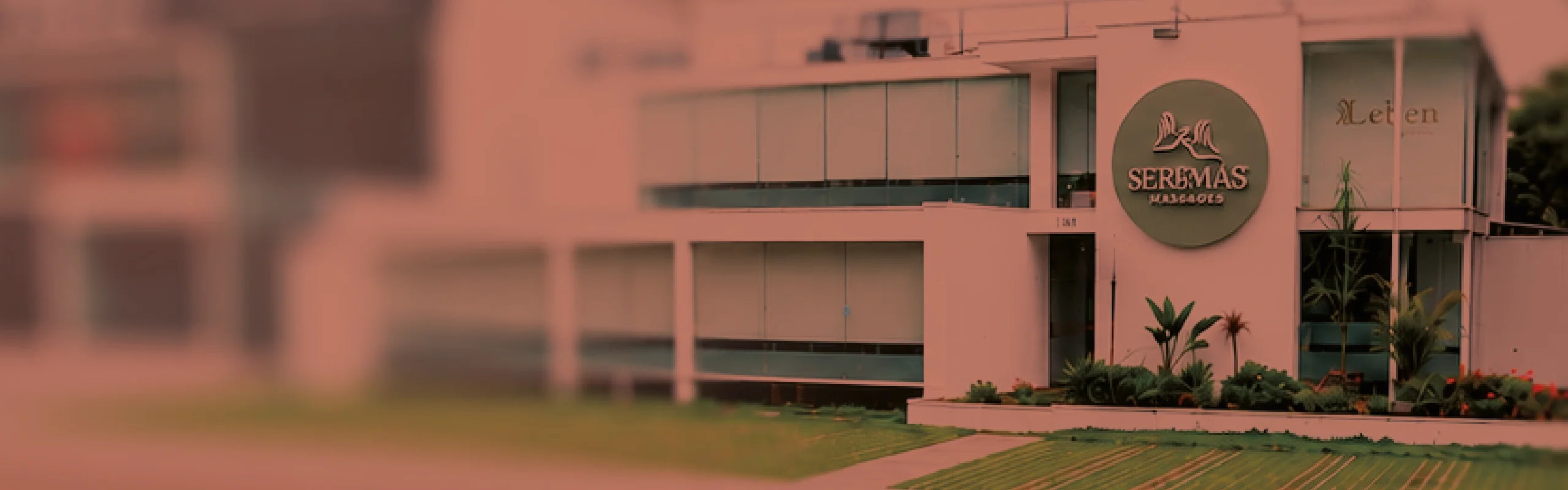 Descripción del banner